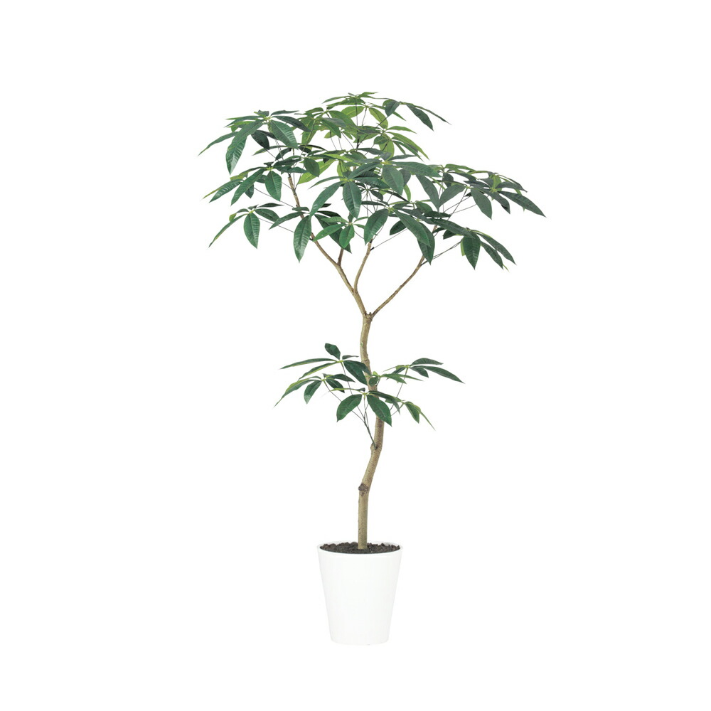 フェイクグリーン 観葉植物 フェイク 人工観葉植物 大型 光触媒 人工パキラ FST150cm リアル 造花 鉢植 光触媒 CT触媒 インテリア ディスプレイ｜フェイクグリーンの神戸花物語