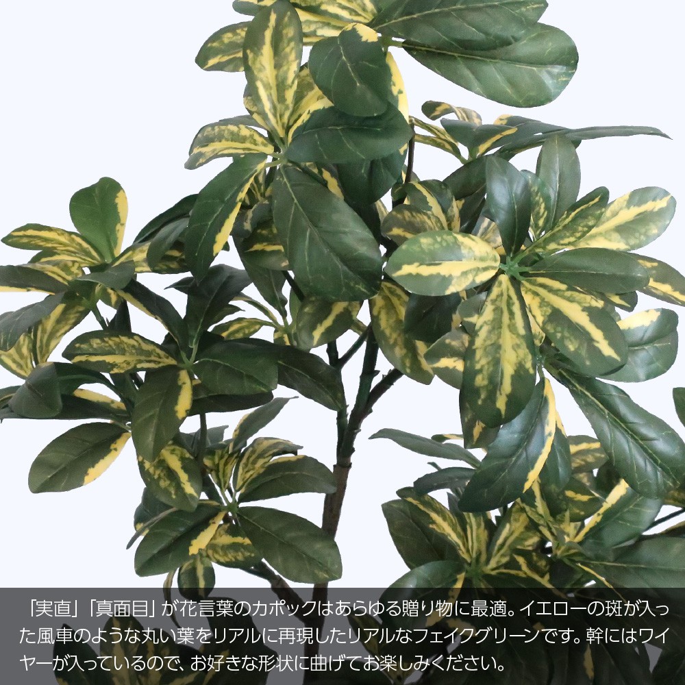 フェイクグリーン 人工観葉植物 インテリア 130cm 鉢植 造花 光触媒 大型 シェフレラ 光触媒 カポックポット フェイク 観葉植物 グリーン 鉢植 インテリア おしゃれ Ct触媒 お祝い フェイクグリーンの神戸花物語人工観葉植物 フェイクグリーン 観葉植物 造花 光触媒 大型