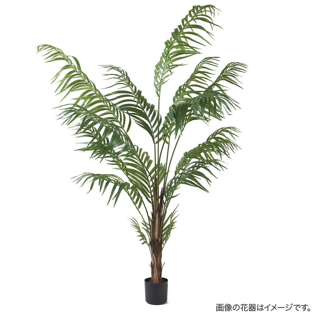 大流行中 楽天市場 人工観葉植物 フェイクグリーン 観葉植物 造花 光触媒 大型 アレカパームツリー 150cm アレカヤシ フェイク グリーン インテリア おしゃれ Ct触媒 お祝い フェイクグリーンの神戸花物語 値引きする Mail Intelsys Net