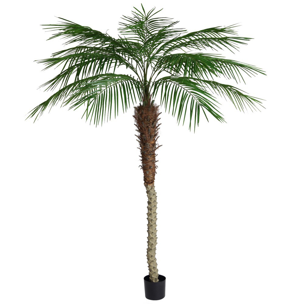 最高の 楽天市場 人工観葉植物 フェイクグリーン 観葉植物 造花 光触媒 大型 フェニックスパームツリー 210cm フェイク グリーン インテリア おしゃれ Ct触媒 お祝い フェイクグリーンの神戸花物語 驚きの安さ Oviyamedsafe Com