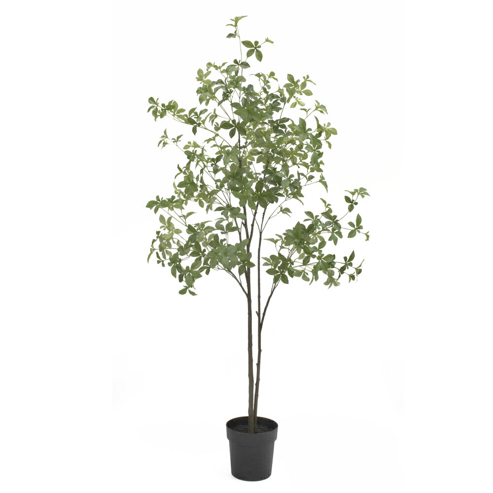 フェイクグリーン 観葉植物 フェイク 人工観葉植物 大型 光触媒 ドウダン ツツジポット 高さ175cm どうだんつつじ 満天星 人工 大型 人工樹 リアル 造花 インテリア 人工光触媒 ディスプレイ｜フェイクグリーンの神戸花物語