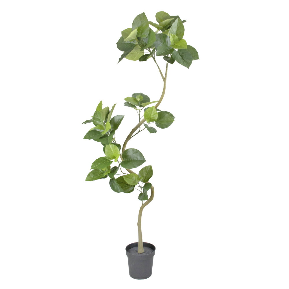 楽天市場】フェイクグリーン 観葉植物 フェイク 人工観葉植物