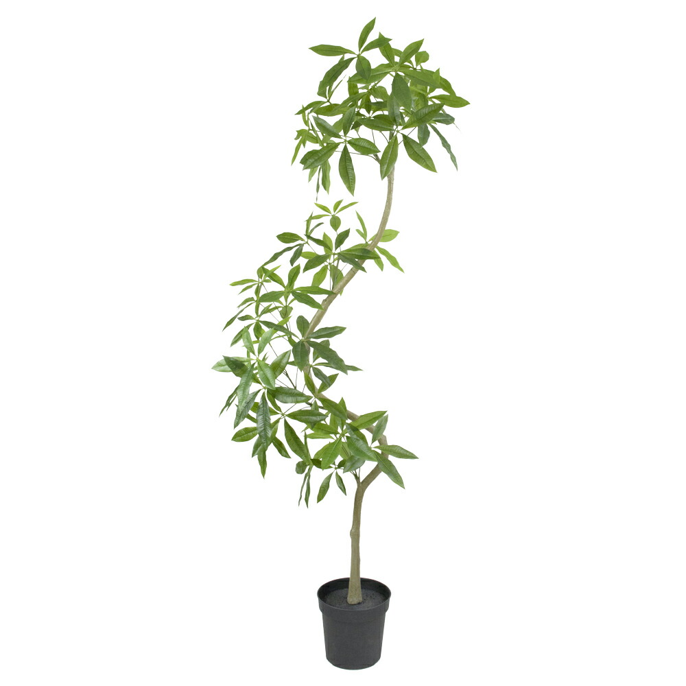 フェイクグリーン 観葉植物 フェイク 人工観葉植物 大型 光触媒 ツイストパキラポット 組立式 曲がり 高さ200cm 人工 大型 人工樹 リアル 造花 インテリア 人工光触媒 ディスプレイ｜フェイクグリーンの神戸花物語