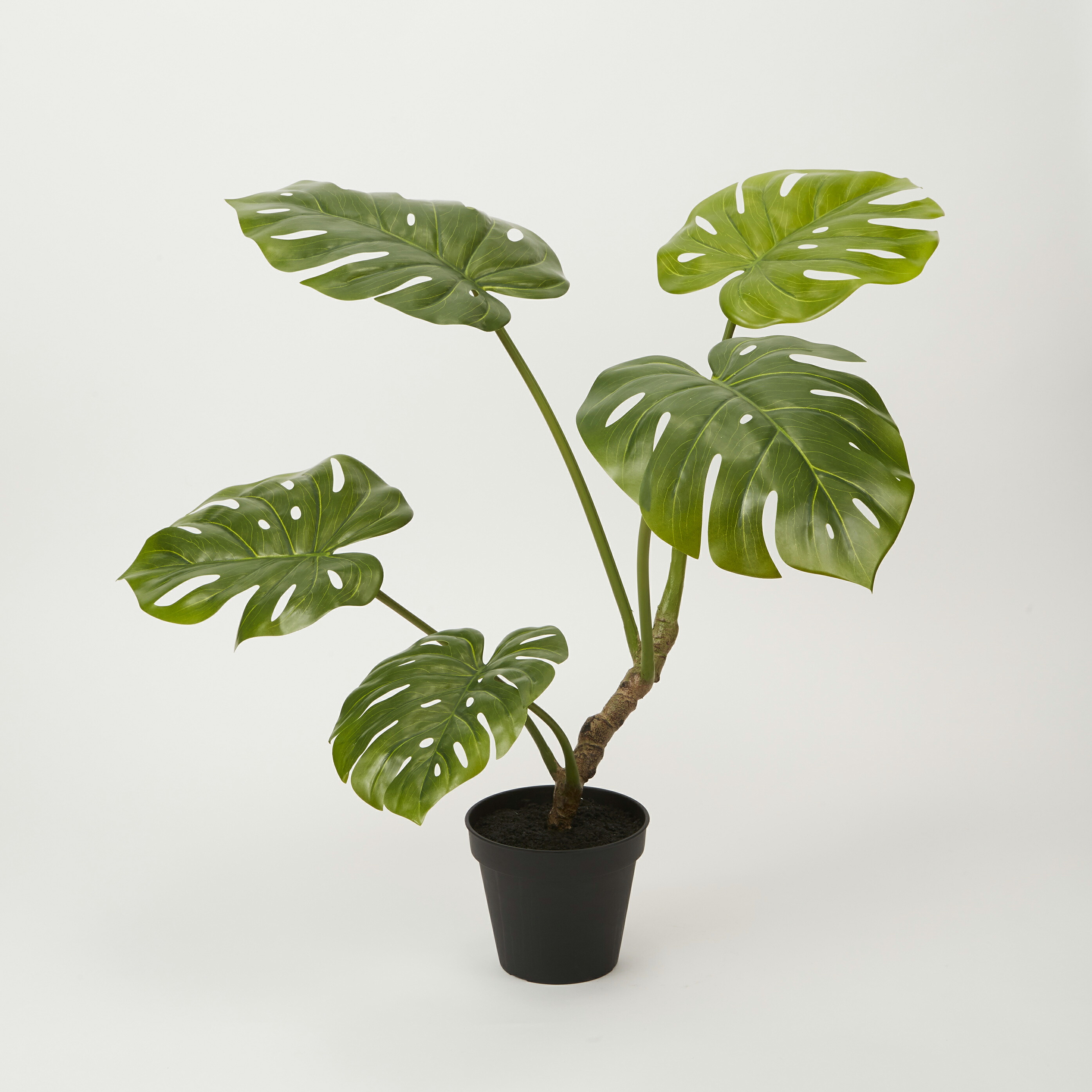 フェイクグリーン 観葉植物 フェイク 人工観葉植物 卓上 ミニ 小さい 光触媒 造花 モンステラポット グリーン 71cm スプリットフィロ リアル 人工 人気 玄関 リビング オフィス インテリア 部屋 空気清浄 光触媒 シンプル おしゃれ CT触媒｜フェイクグリーンの神戸花物語