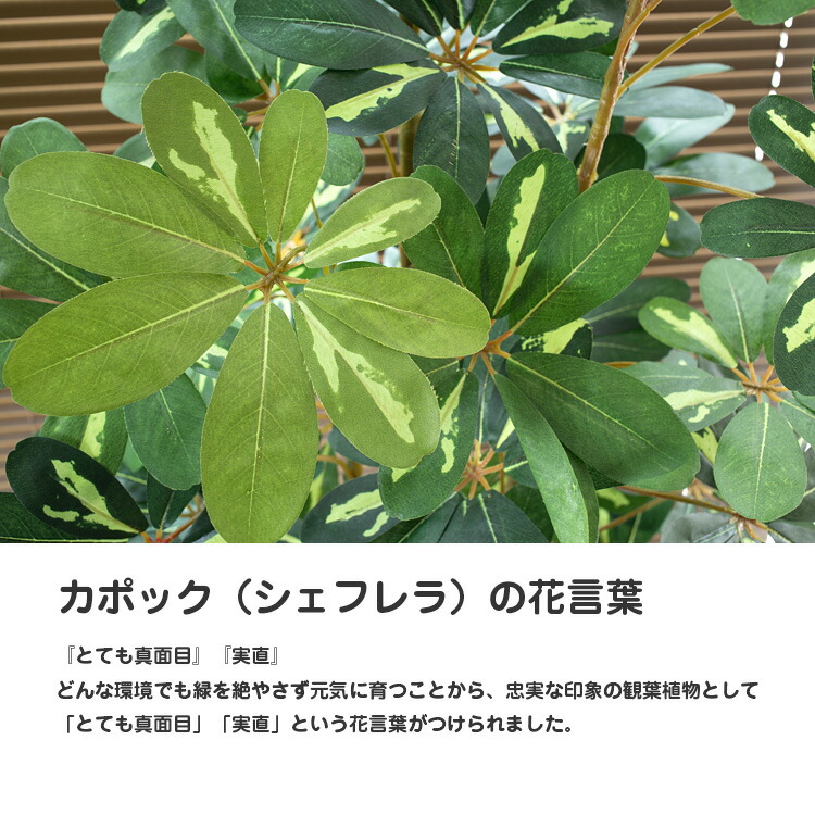 光触媒 人工観葉植物 造花 ウォールグリーン バロックとグリンピースの