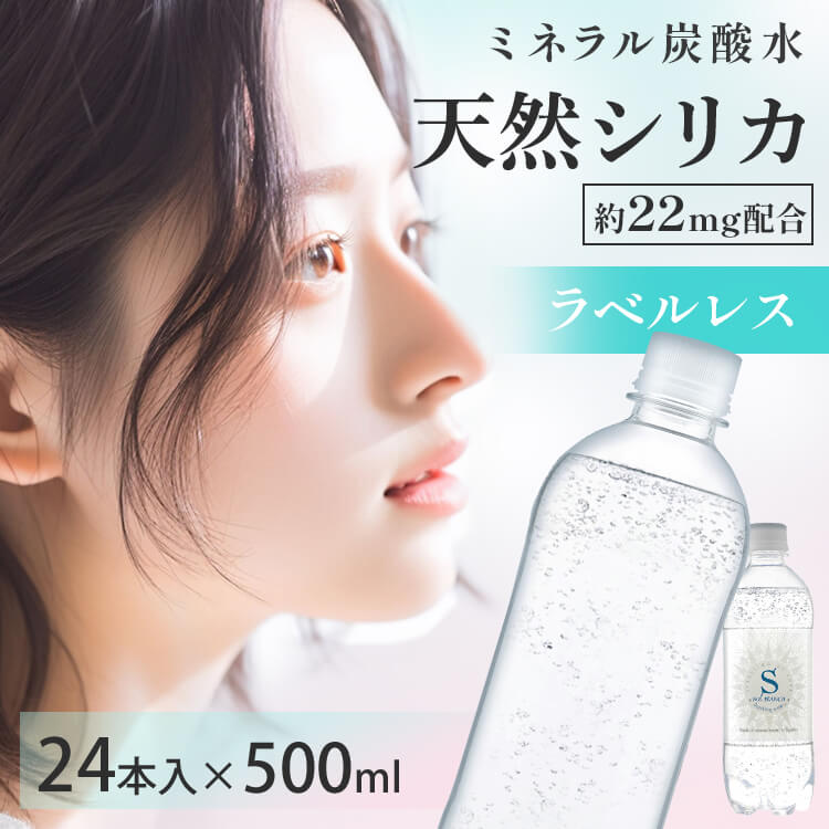 楽天市場】ボルヴィック 500ml 24本 送料無料 ミネラルウォーター
