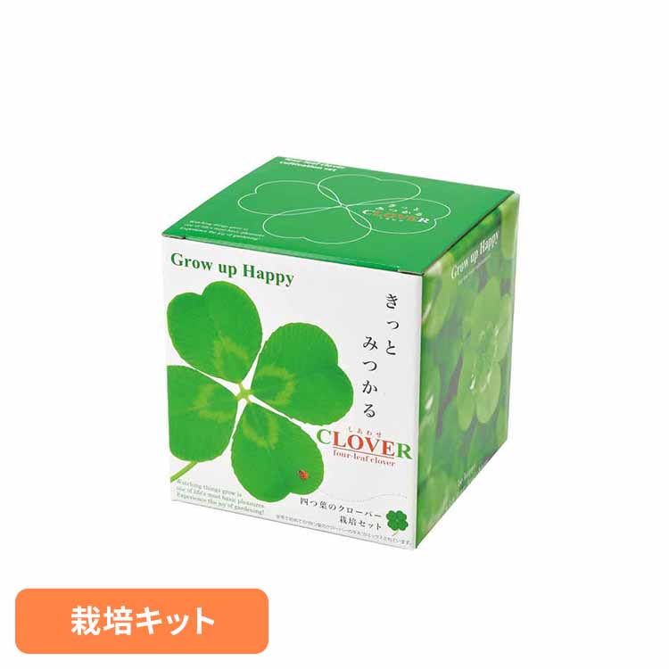 楽天市場】幸せを呼ぶ 四つ葉のクローバー苗 3POTセット 3号苗