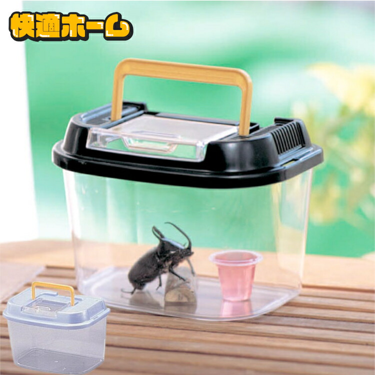 楽天市場】【13％OFF】飼育ケース 虫かご 昆虫 アイリス 飼育