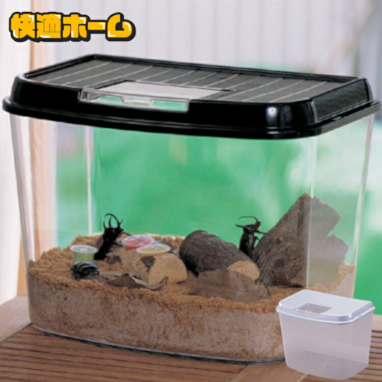 虫かご・飼育ケース mym 361941-1.jpg