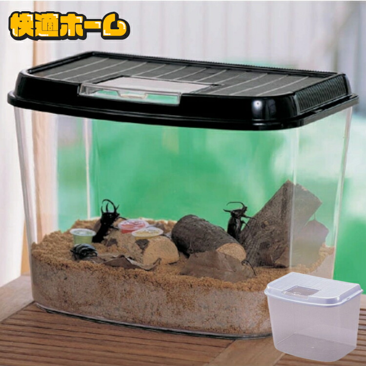虫かご・飼育ケース mym dショッピング |プラケース 飼育容器 フラット 黒（365