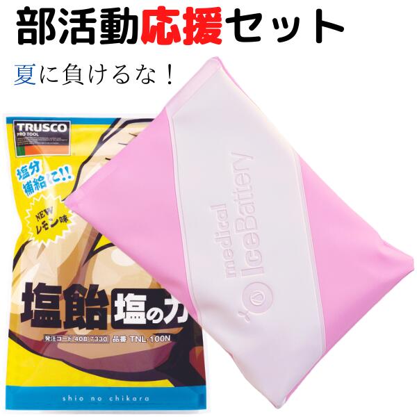 ワクチン接種後 手のひら冷却 fresh ピンク アイスバッテリー 新色 アイシングパック 冷却パック 冷却材 セット ひんやり 冷却 クール 冷感 熱中症対策 スポーツ アイシング グッズ アイシングバッグ 保冷剤 熱中症対策グッズ 運動 子供