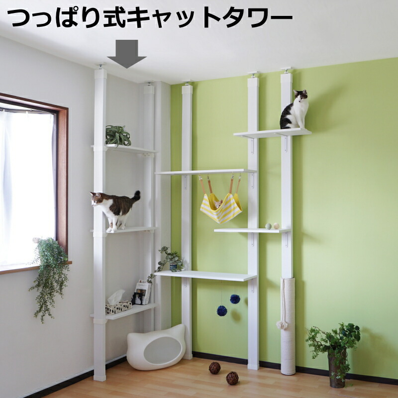 楽天市場】マルカン キティウォーク CT-523 : ペット健康便