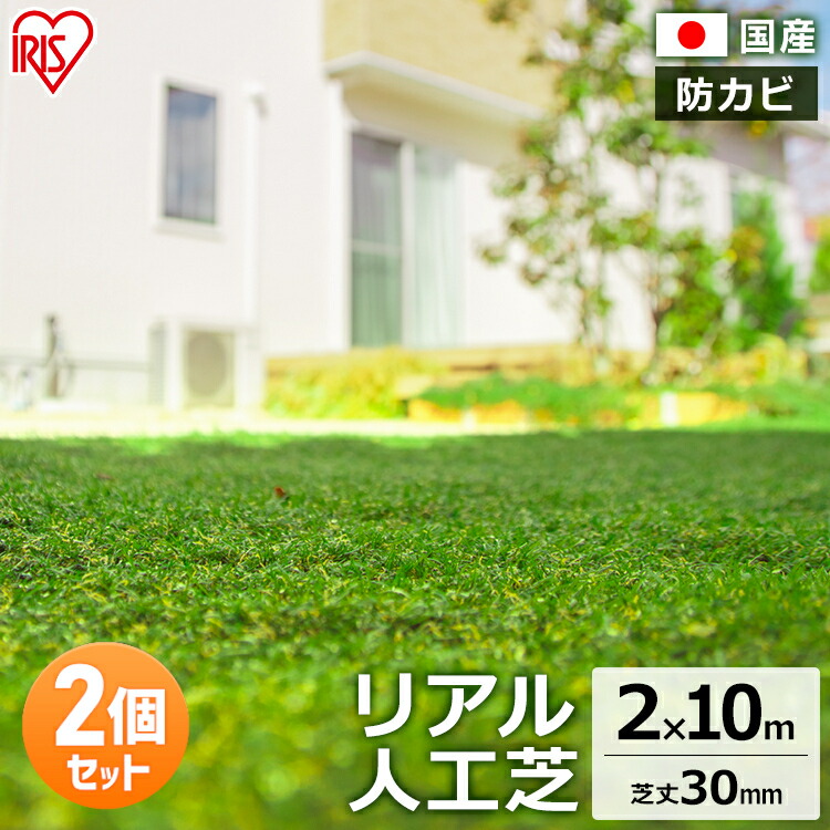1,000円ぽっきり
