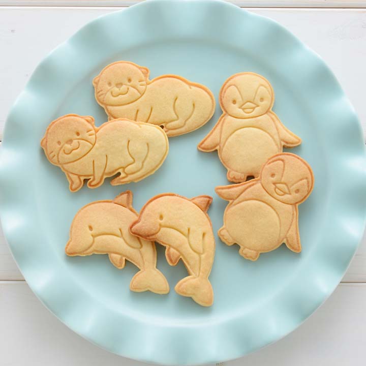 楽天市場 Cookie Set Aquarium A 水族館 クッキー型 クッキーセット アクアリウム カワウソ イルカ ペンギン 動物 簡単 お菓子作り 手作りお菓子 クッキー抜き型 ギフト アーネスト D B 調理器具専門店 I Cook