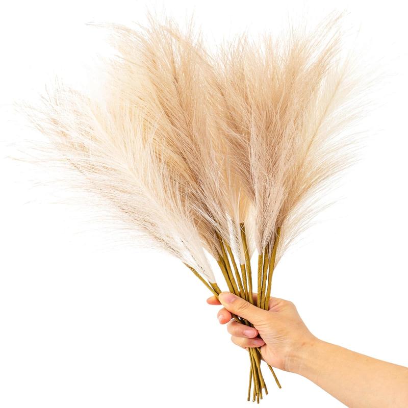 楽天市場】【6本入り】カラーパンパススプレー 90cm クリーム秋に人気