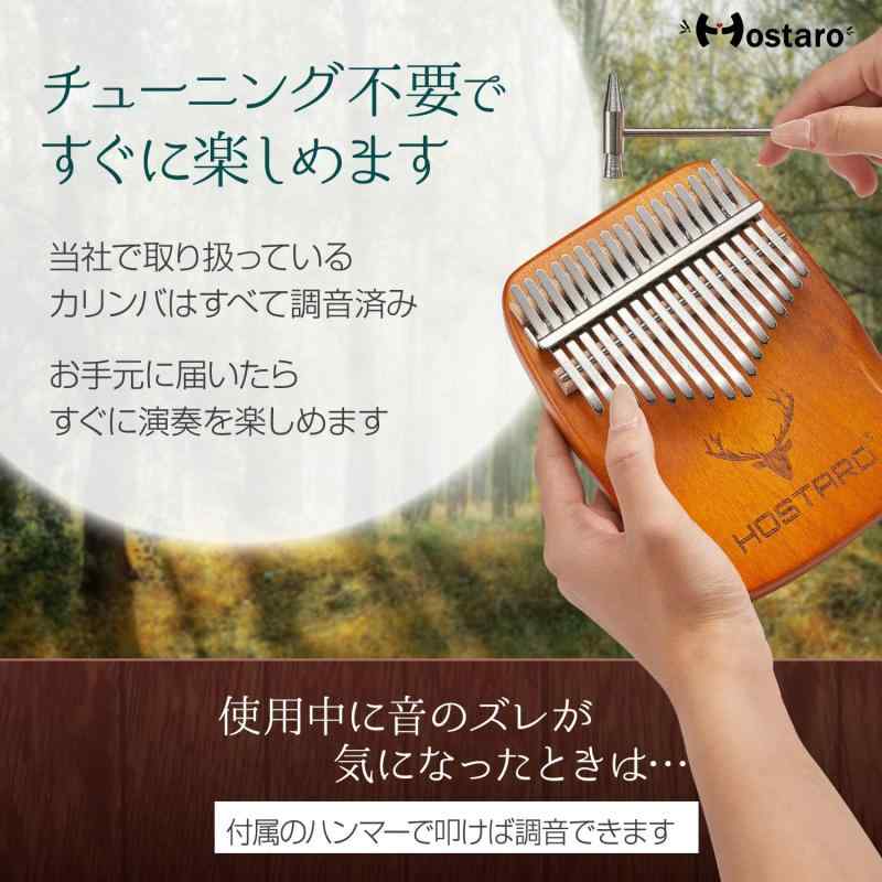 楽天市場】Hilax 初級者 入門 用 ピッコロ ((1) シルバー本体) : K工房