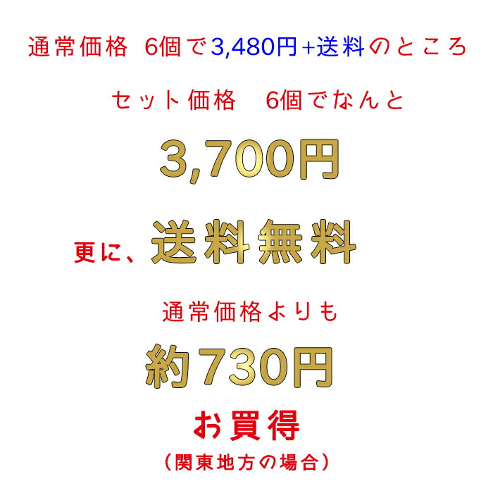 【セット特価】ステイトファイルケーススリム【同色6個セット】【日本製】【国産】