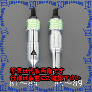 【P】【代引不可】【人間宅送りとどける不可】ESCO(エスコ) φ19粍 ベアリングエクストラクター EA604FW-86 [ZES075567]