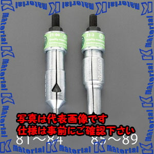 【P】【代引不可】【人間宅送りとどける不可】ESCO(エスコ) φ23粍 ベアリングエクストラクター EA604FW-87 [ZES075403]