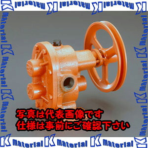 【代引不可】【人間宅送りとどける不可】ESCO(エスコ) φ20粍 単体揚水機 EA991CR-42 [ZES074921]