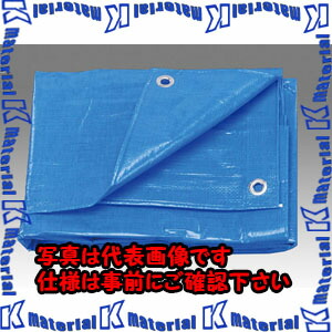 【P】【代引不可】【人間宅送りとどける不可】ESCO(エスコ) 10 x 10m 青味居敷き(#3000/1枚) EA911AB-29 [ZES046703]