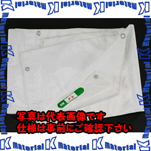 【P】【代引不可】【人間宅送りとどける不可】ESCO(エスコ) 10x10m 防炎居敷き EA911AE-27 [ZES046736]