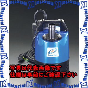 【P】【代引不可】【人間宅送りとどける不可】ESCO（エスコ） AC100V/250W(50サイクル)40粍 水中揚水機(ｵｰﾄ) EA345RW-5[ESC007951]
