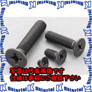 【代引不可】【人間宅送りとどける不可】ESCO(エスコ) M3-M6 皿頭小ねじ仕掛ける(ステンレス鋼/黒いこと) EA949TF-1 [ZES060935]