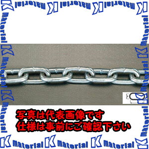 【代引不可】【人間宅送りとどける不可】ESCO(エスコ) 6.5mmx30m 繋がりチェーン店(スチール写真製/ユニクロメッキ) EA980SE-74 [ZES067327] その他-花・ガーデン・DIY-DIY・工具