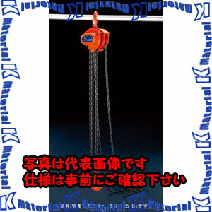 【P】【代引不可】【個人宅配送不可】ESCO(エスコ) 1.0tonx5.0m チェーンブロック EA987CK-5 [ZES070724]
