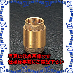 【P】【代引不可】【人間宅送りとどける不可】ESCO（エスコ） G 2\" ユニバーサル逆止弁 EA465L-20[ESC015386]"