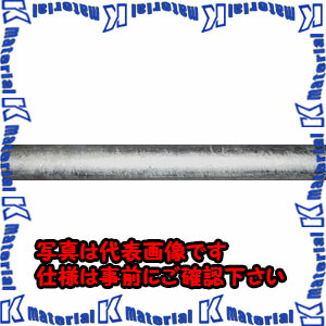 【P】【代引不可】【個人宅配送不可】ESCO（エスコ） 20A/2.0m 配管用炭素鋼管(SGP管) EA469BA-20[ESC016220]