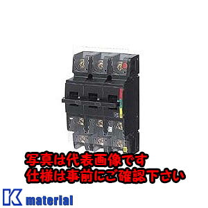 【P】【代引不可】【個人宅配送不可】日東工業 DS102 2P 100A 切替開閉器 [OTH13733]｜k-material
