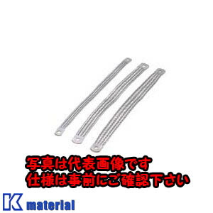 【P】【代引不可】【個人宅配送不可】日東工業 EC-G-22-300(ストラツプ10 ＥＭＣ グランドストラップ [OTH17616]