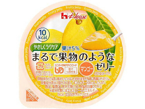 ハウス食品　やさしくラクケア　６０ｇ　まるで果物のようなゼリー　マンゴー　６０ｇ×48個