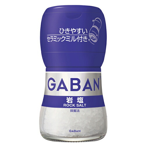 ハウス食品　GABAN　ギャバン　ミル付き岩塩　４０ｇ　5×8個　合計40個