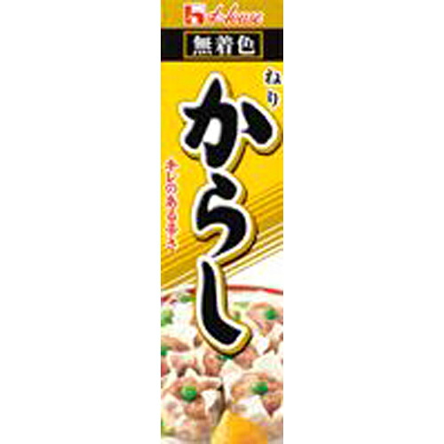 ハウス食品 ねりからし 43g 10×12個 合計120個|Re-light