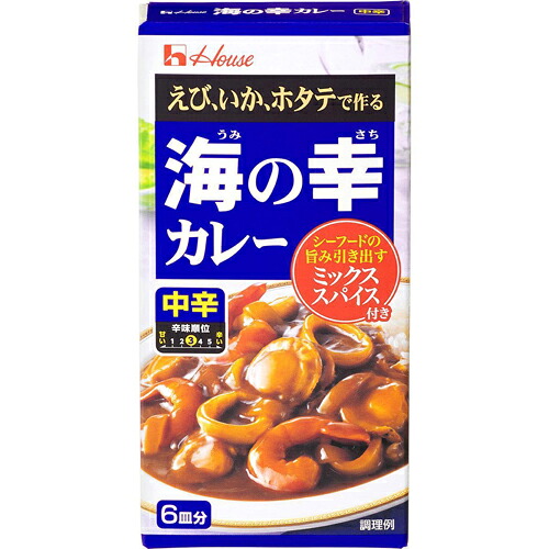 ハウス食品 海の幸カレー 中辛 120g(ルウ、ミックススパイス) 10×12個 合計120個|Re-light