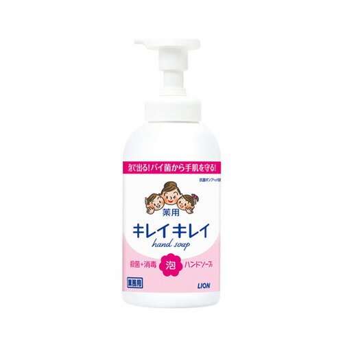 素晴らしい 最安値に挑戦 ライオン キレイキレイ薬用泡ハンドソープ 550ｍｌ×12本 karizma-tuebingen.de karizma-tuebingen.de
