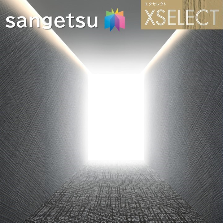 サンゲツ 壁紙 のりなし壁紙 エクセレクト しゃらしゃら SGB2005 XSELECT 2021-2024 飛び切り差し交わす ひな型 壁紙 座標 本売り sgb2005