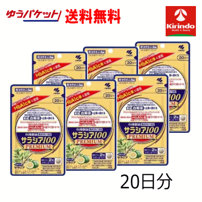 ゆうパケットで貨物輸送無料 6個書き割り 小林製薬 サラシア100 割り増し金 20日分 120粒×6個【役立つこと性書きあらわす食料雑貨類】食後の血糖値のこみ上げるを抑える