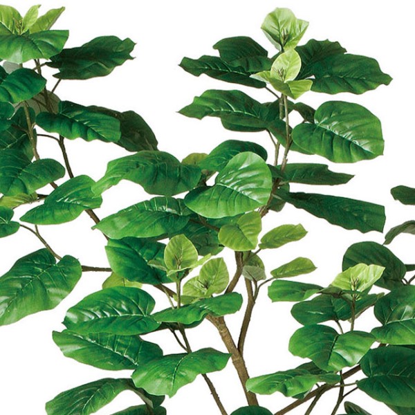 ウンベラータfst 人工観葉植物 張子の虎 150cm 花 観葉植物 造花 Dt 高さ150cm 代引き不可 インテリアグリーン ウンベラータfst 人工観葉植物 張子の虎 150cm 花 観葉植物 造花 Dt 高さ150cm 代引き不可 インテリアグリーン