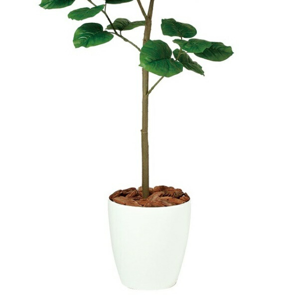ウンベラータfst 人工観葉植物 張子の虎 150cm 花 観葉植物 造花 Dt 高さ150cm 代引き不可 インテリアグリーン ウンベラータfst 人工観葉植物 張子の虎 150cm 花 観葉植物 造花 Dt 高さ150cm 代引き不可 インテリアグリーン