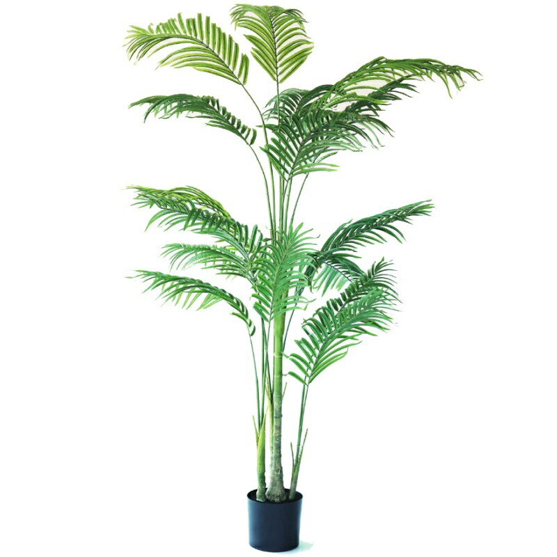 光触媒　人工観葉植物　ウォールグリーン　フェイクグリーン　ケンチャヤシポット15 楽天市場】人工観葉植物 ケンチャヤシ ポット 152（1個入り