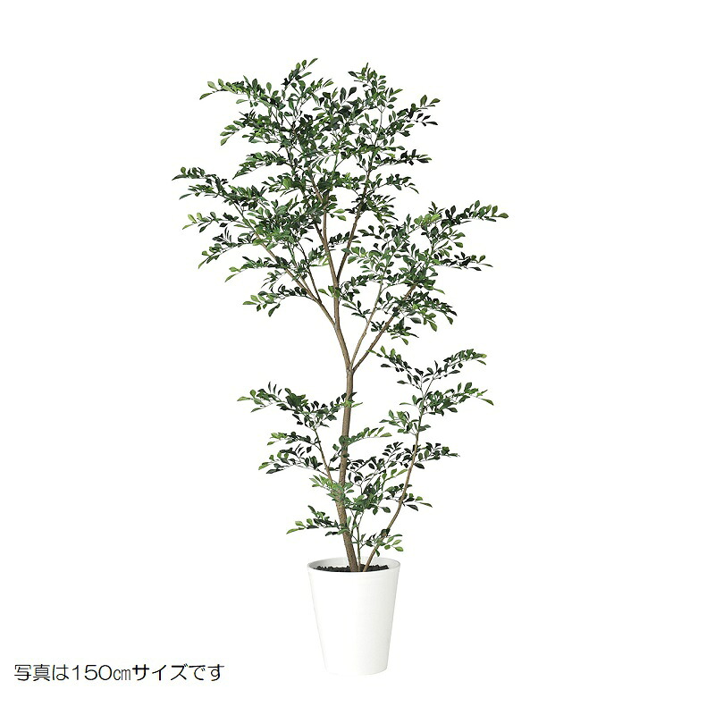 人工観葉植物 トネリコ FST 120cm 高さ120cm (P232) (dt91886) (代引き不可) インテリアグリーン フェイクグリーン