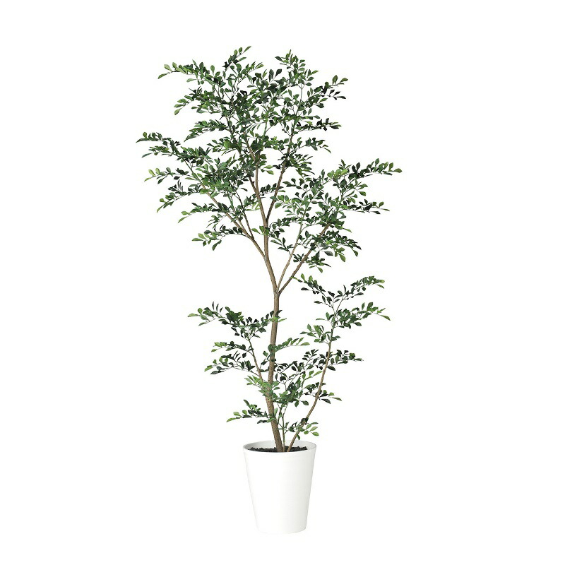 人工観葉草木 秦皮 FST 150糎 高さ150糎 （P232) （dt91887) （代引っ張ること不可） 室内装飾緑であること フェイクグリーン
