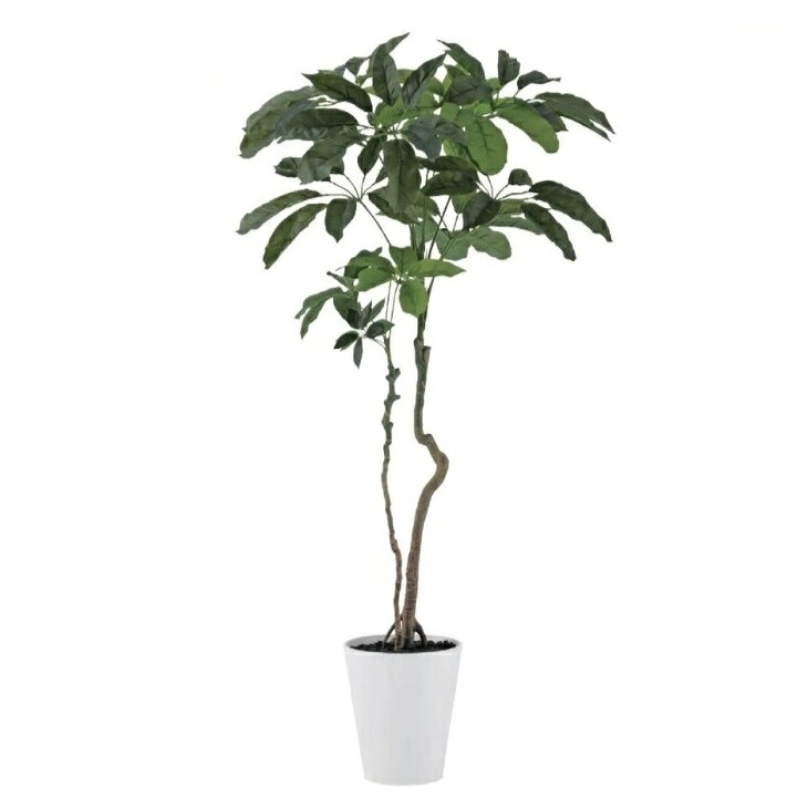 人工観葉植物 ブラッサイア 170cm 高さ170cm （P233) （dt91899) （代引き不可） インテリアグリーン フェイクグリーン