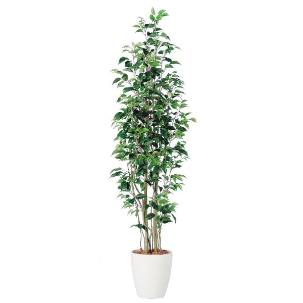 人工観葉植物 ベンジャミンスリム FST 180cm 高さ180cm (P233) (dt98647) (代引き不可) インテリアグリーン フェイクグリーン|さくらソレイユ 店