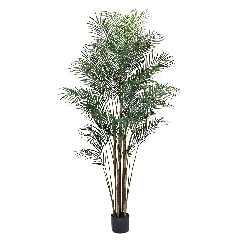 人工観葉植物 ワールドパーム ポット 高さ180cm （P229) （fg661) （代引き不可） インテリアグリーン フェイクグリーン
