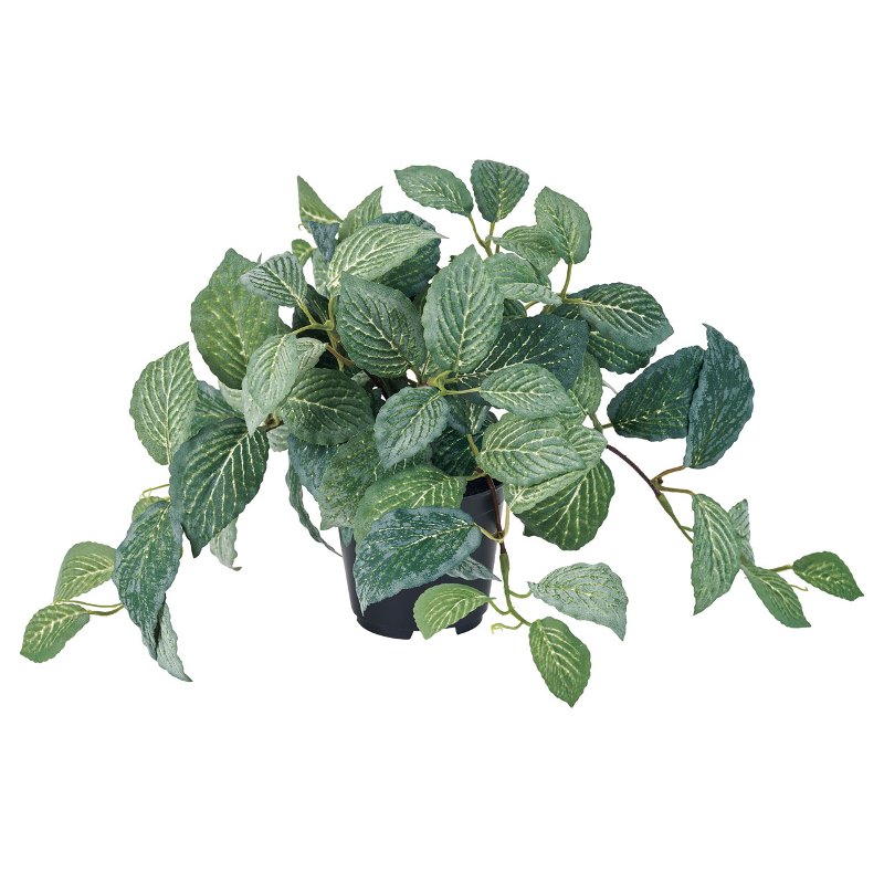 人工観葉植物 フィットニア ポット 高さ22cm （P212) （fg9019) （代引き不可） インテリアグリーン フェイクグリーン